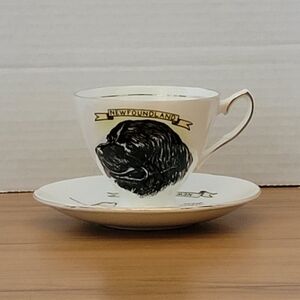 Newfoundland teacup saucer Canada black dog Taylor & Kent bone china souvenir